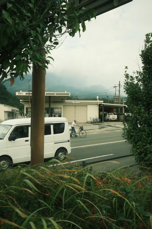 A white van seen through leafy roadside trees