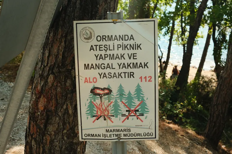A picnic safety sign among trees beside the coast